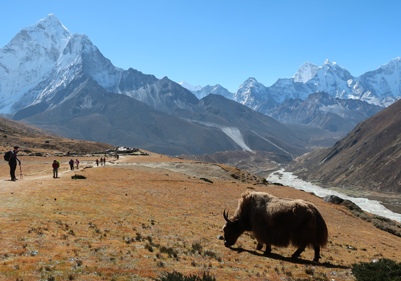 Everest Base Camp Trek - 16 Days 