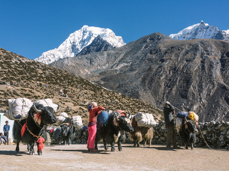 Beautiful Gokyo Trek - 15 Days 