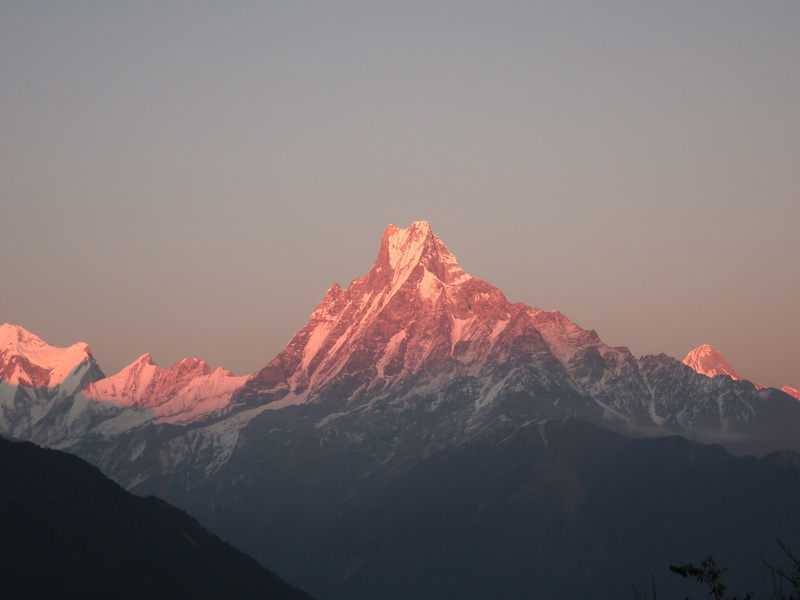 Ghorepani Poon Hill Trek - 7 Days 