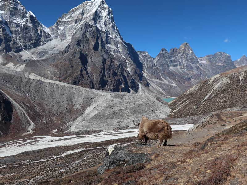 Everest Basecamp and Gokyo Ri Trek - 20 days