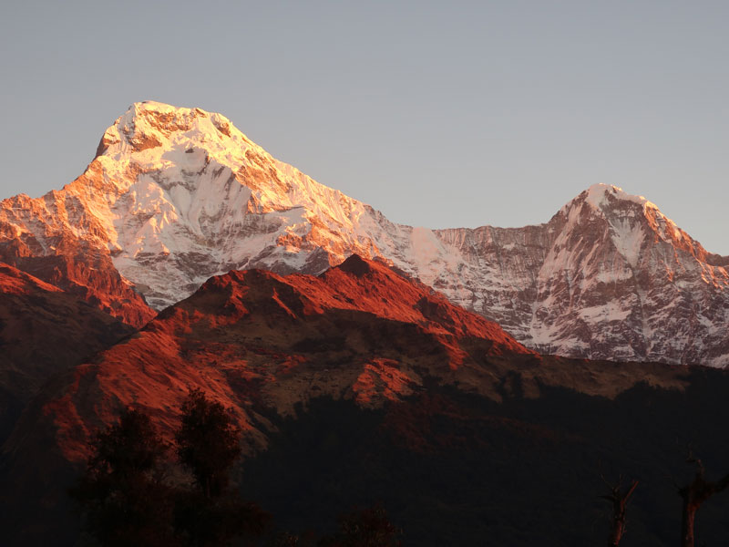 Ghorepani Poon Hill Trek - 7 Days 