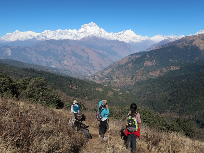 Ghorepani Poon Hill Trek - 7 Days 