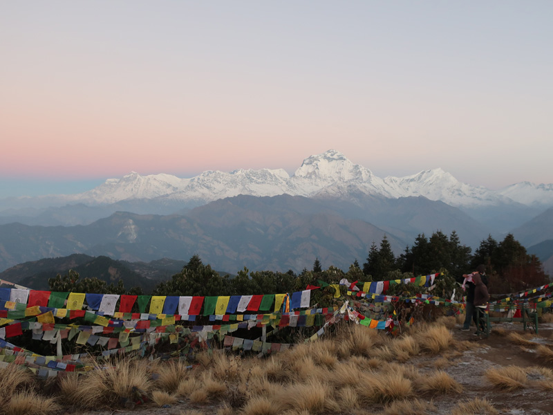 Ghorepani Poon Hill Trek - 7 Days 